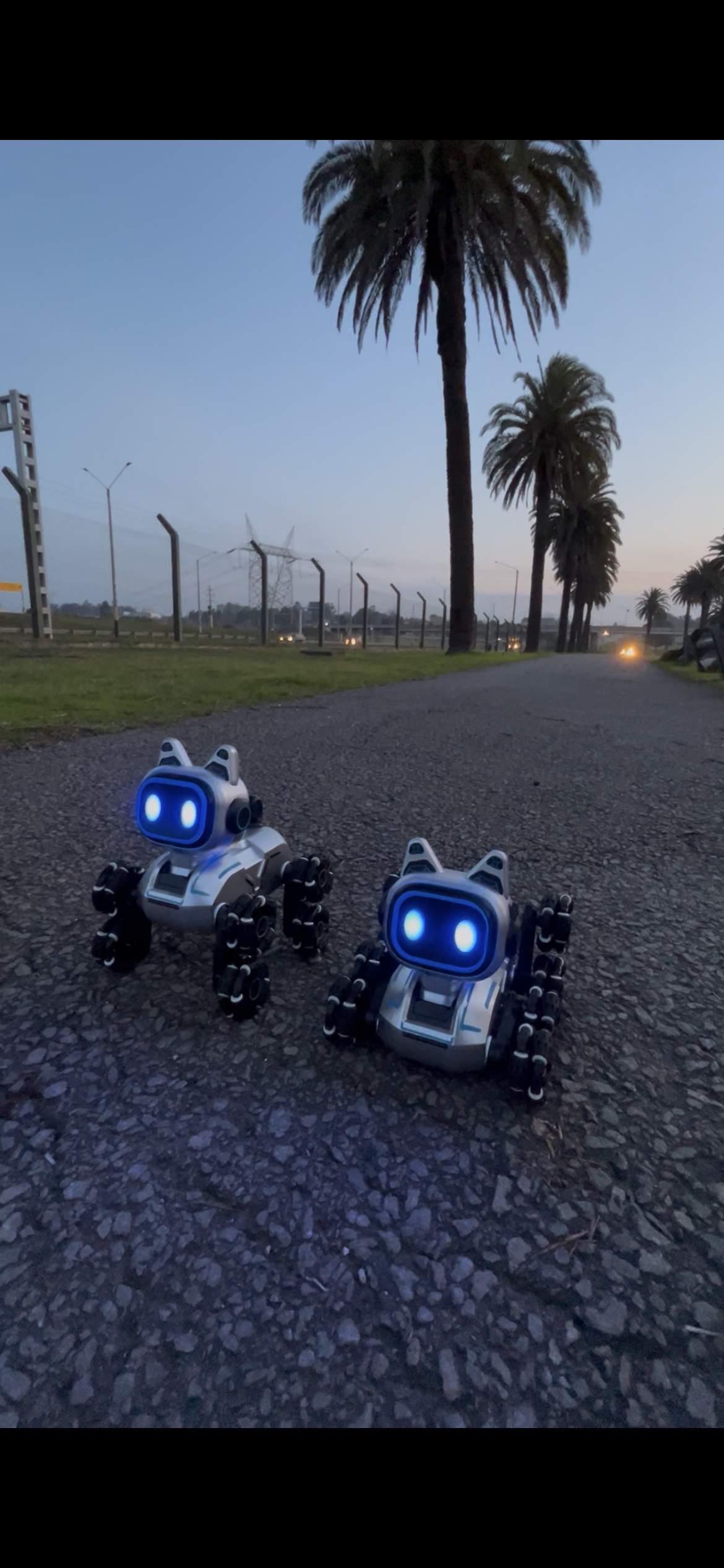 Perro robot a control remoto y reloj con sensor de movimiento
