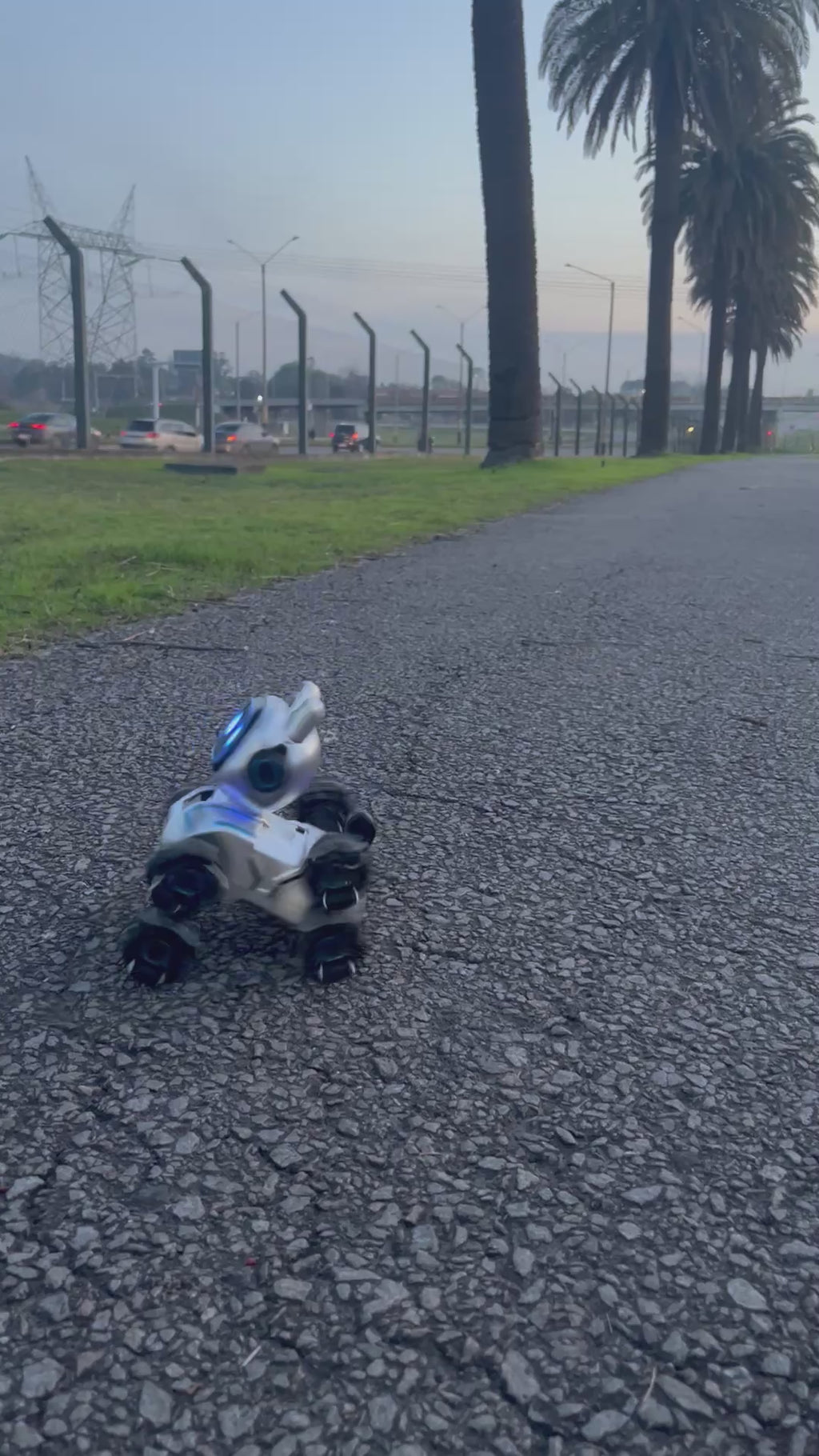 Perro robot a control remoto y reloj con sensor de movimiento