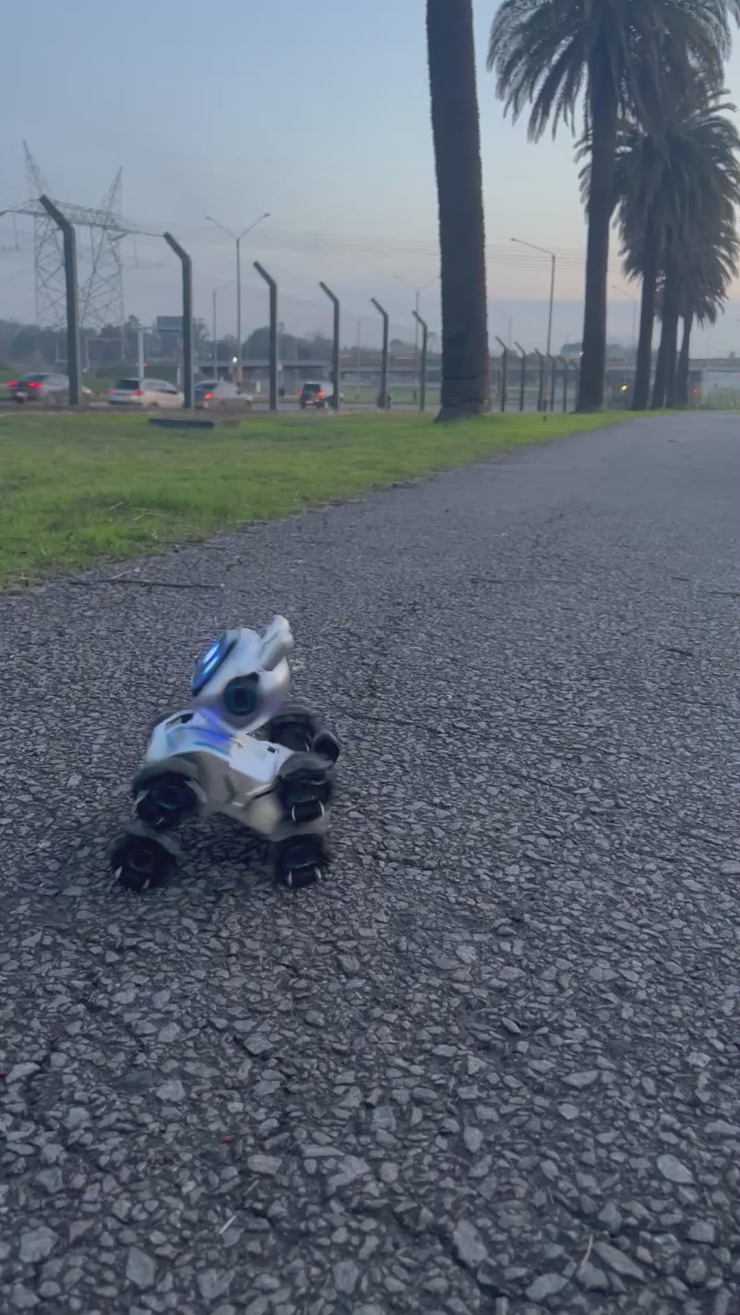 Perro robot a control remoto y reloj con sensor de movimiento